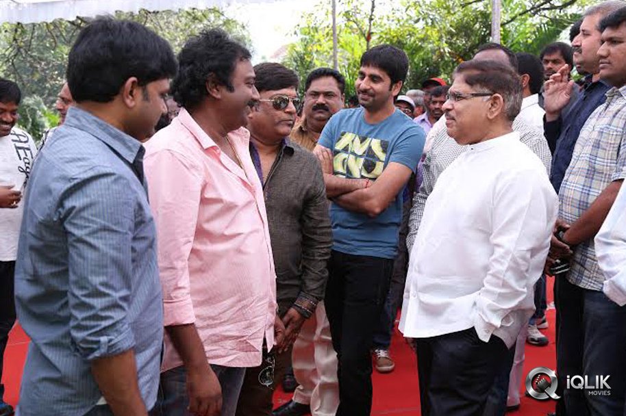 Raadha-Movie-Opening